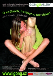 Jitka Píšová - Slavíková - Plakát výstavy