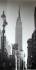 Luděk Vojtěchovský - Manhattan