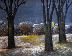 Jiří Bohdanecký - Staré stromy